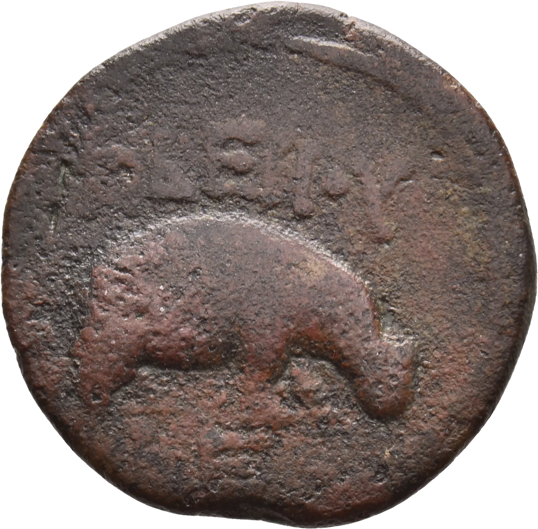 Image of the obverse
