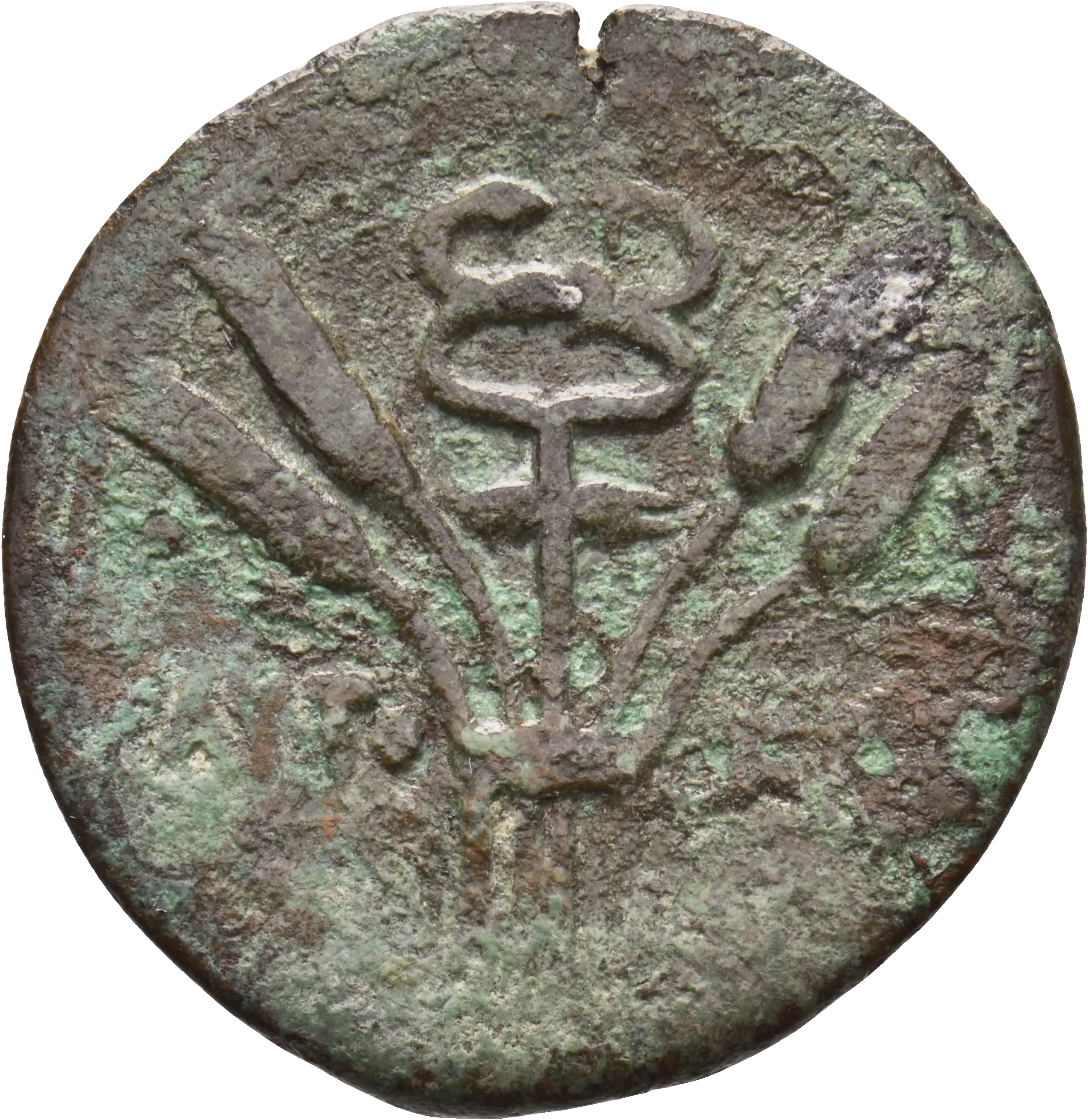 Image of the obverse