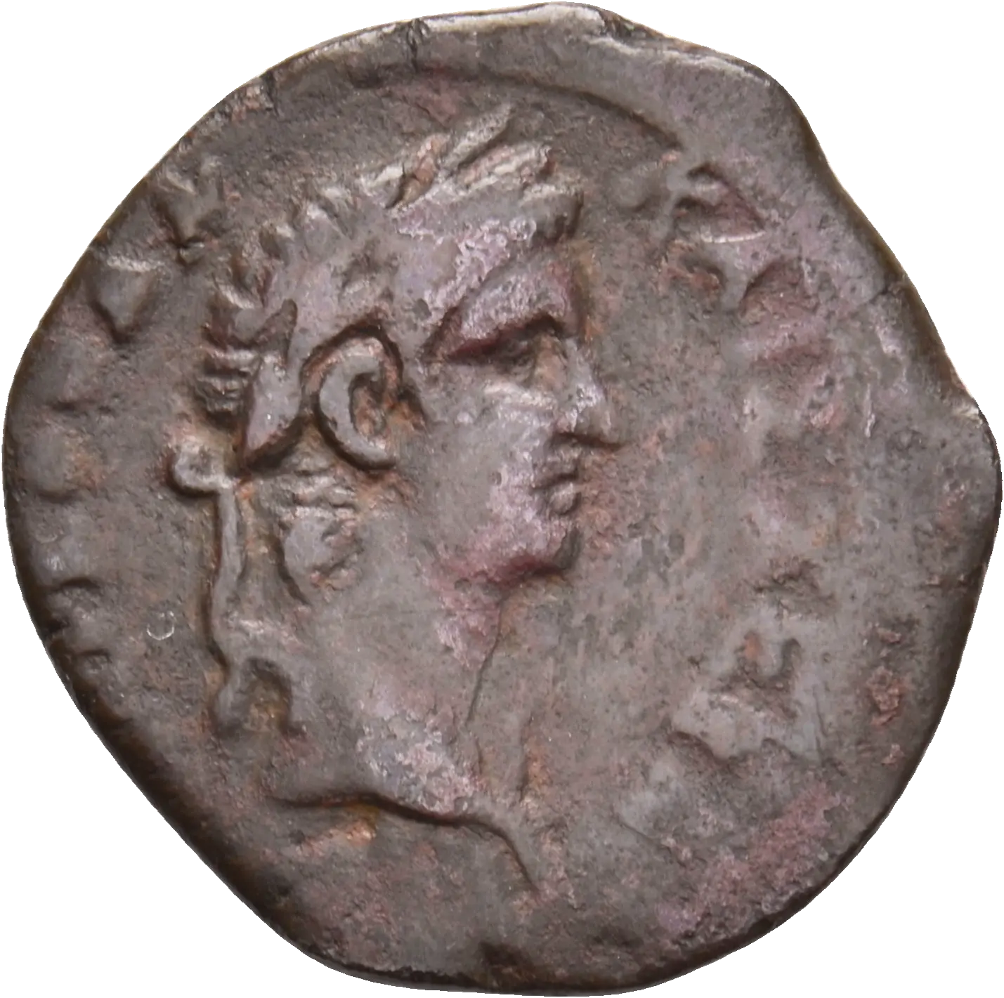 Image of the obverse