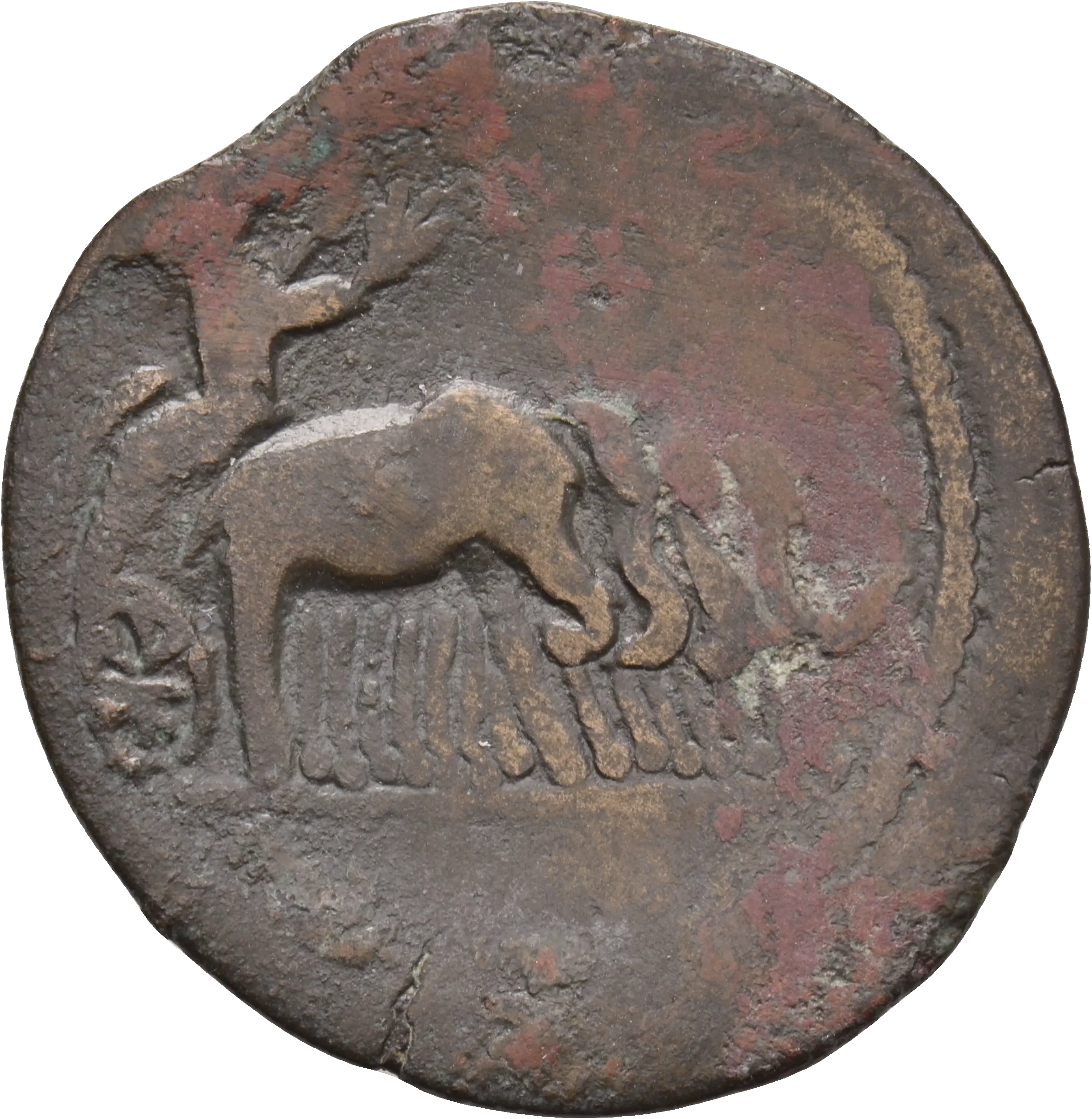 Image of the obverse