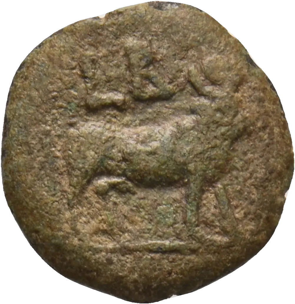 Image of the obverse