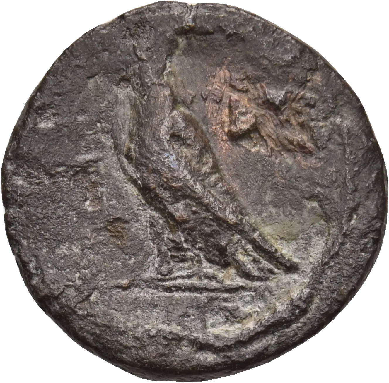 Image of the obverse
