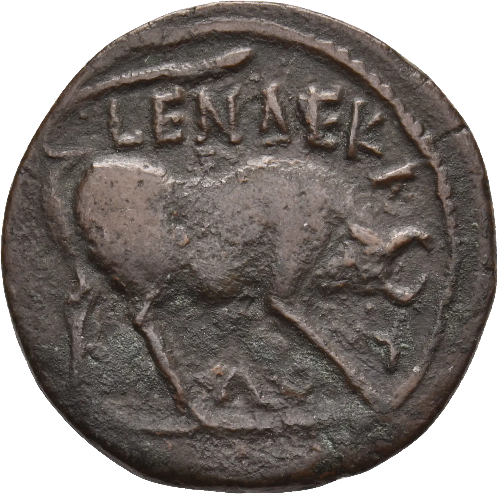 Image of the obverse