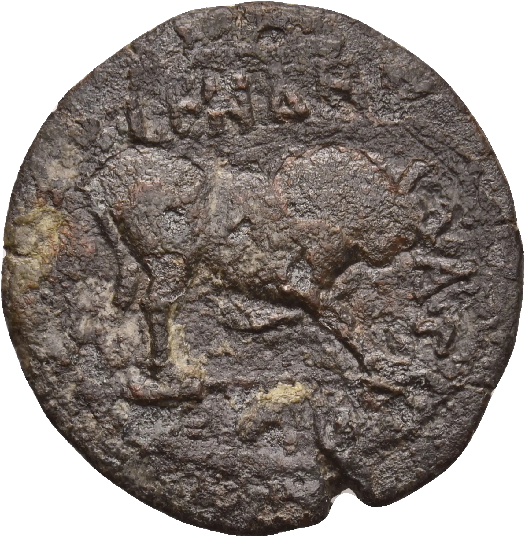Image of the obverse