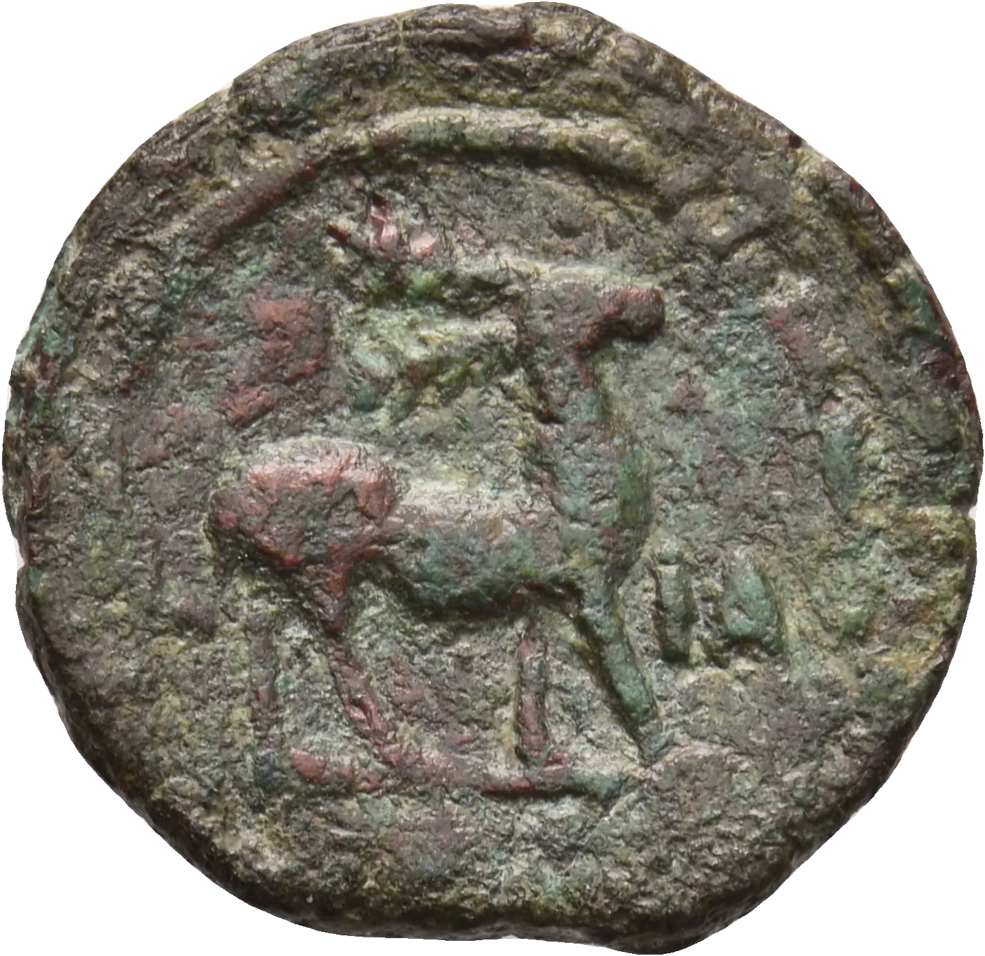 Image of the obverse