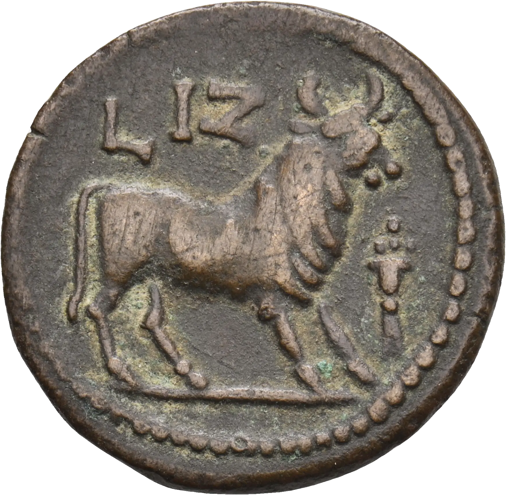 Image of the obverse