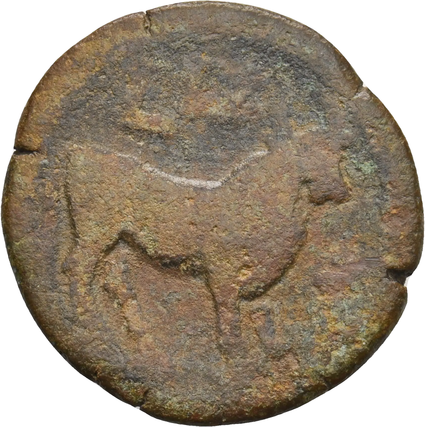 Image of the obverse