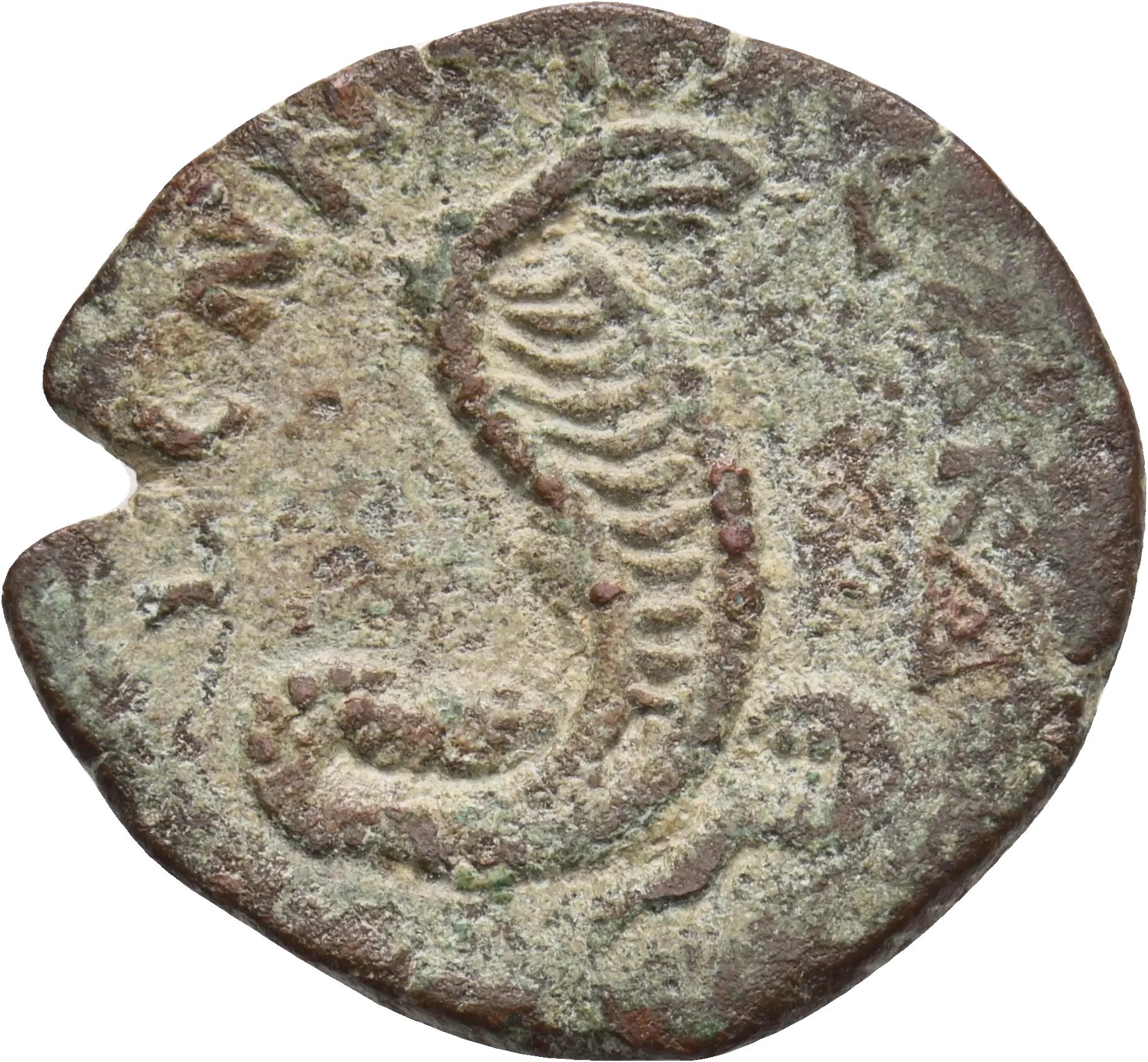 Image of the obverse