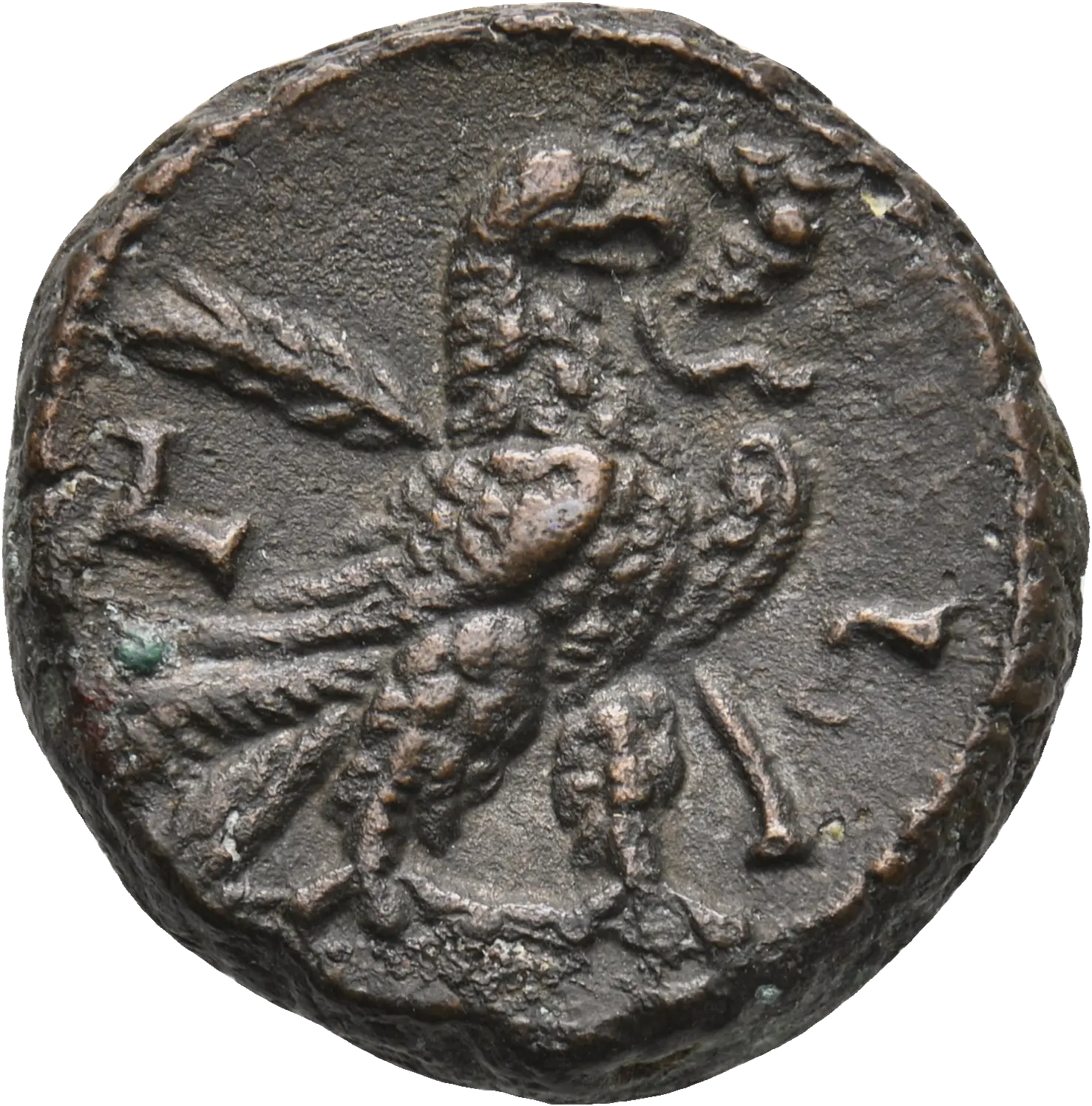 Image of the obverse