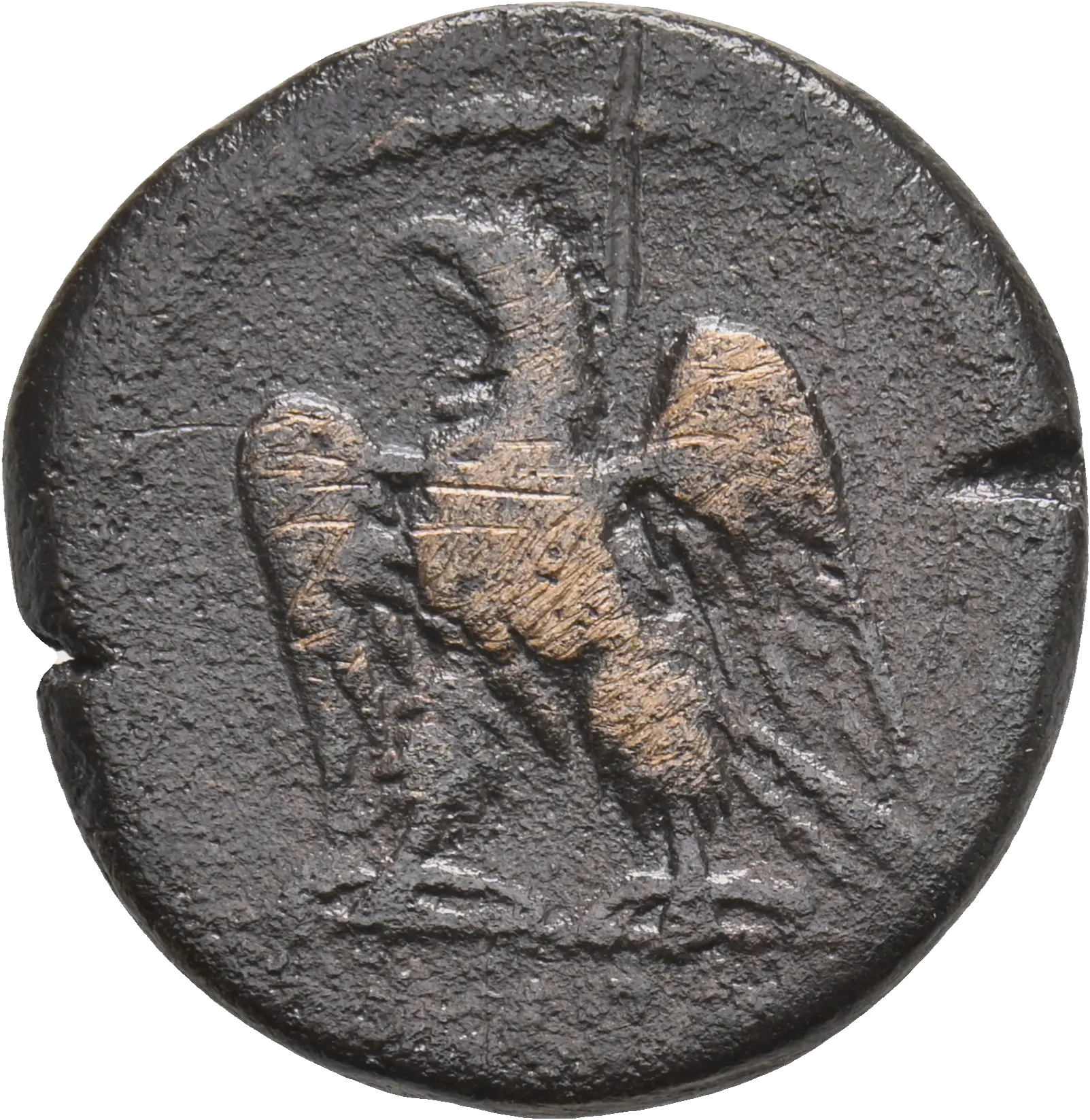 Image of the obverse