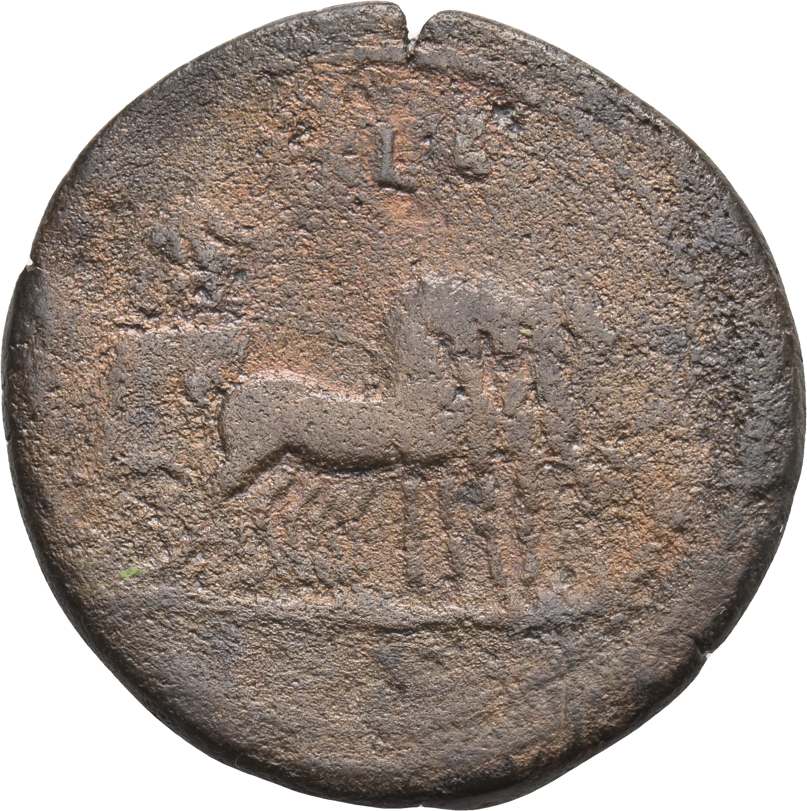Image of the obverse