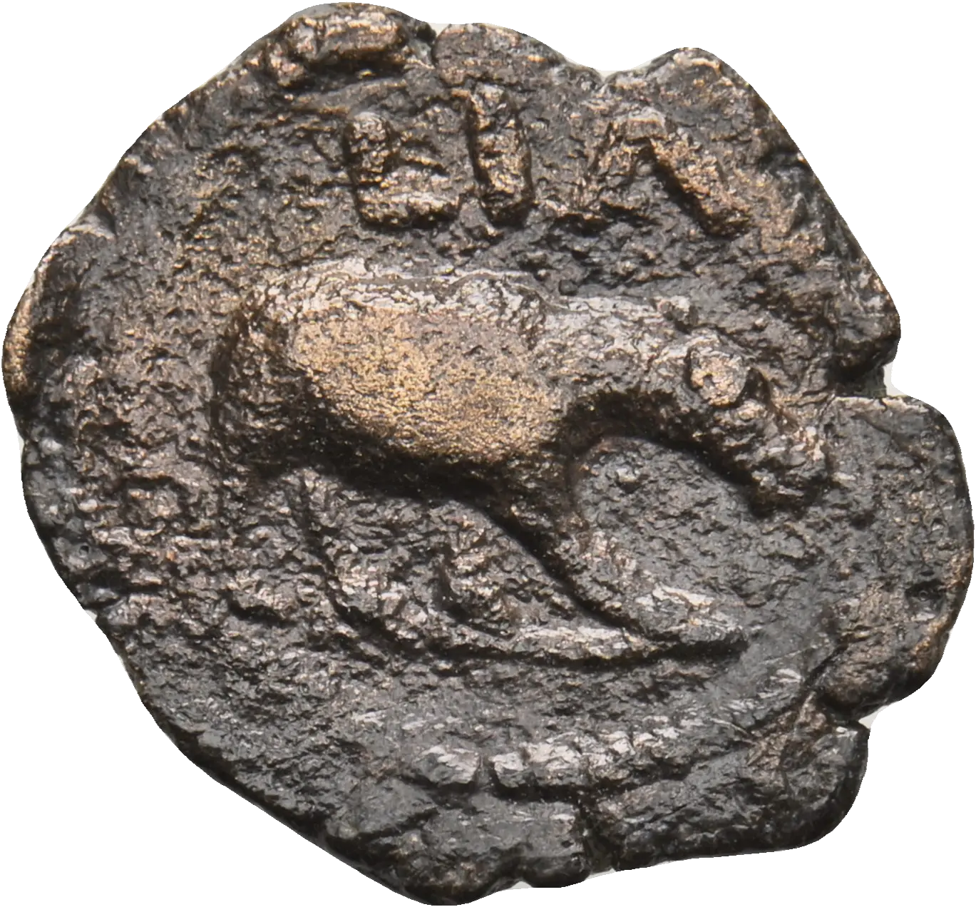 Image of the obverse