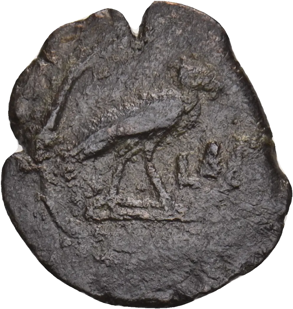 Image of the obverse