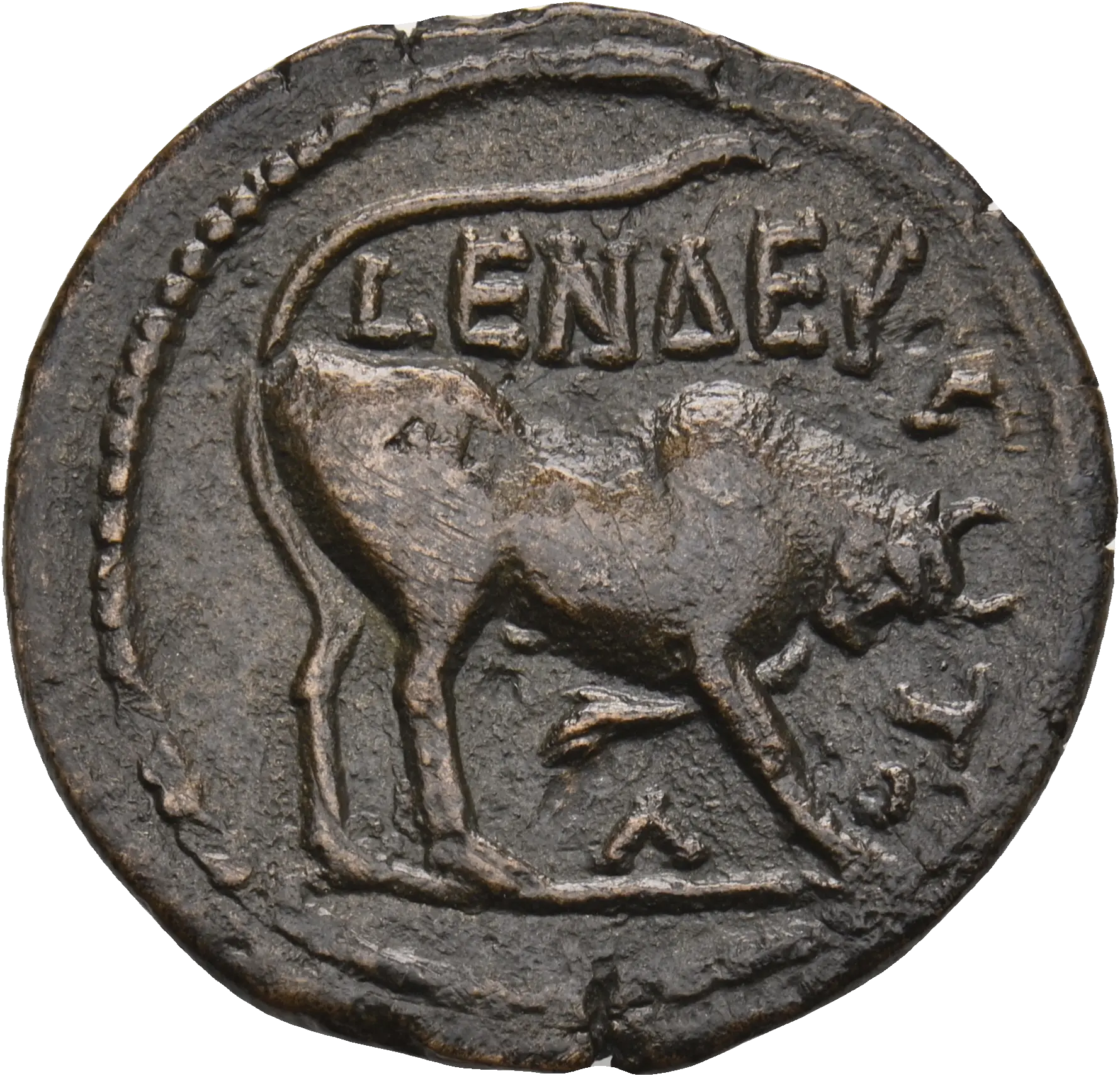 Image of the obverse
