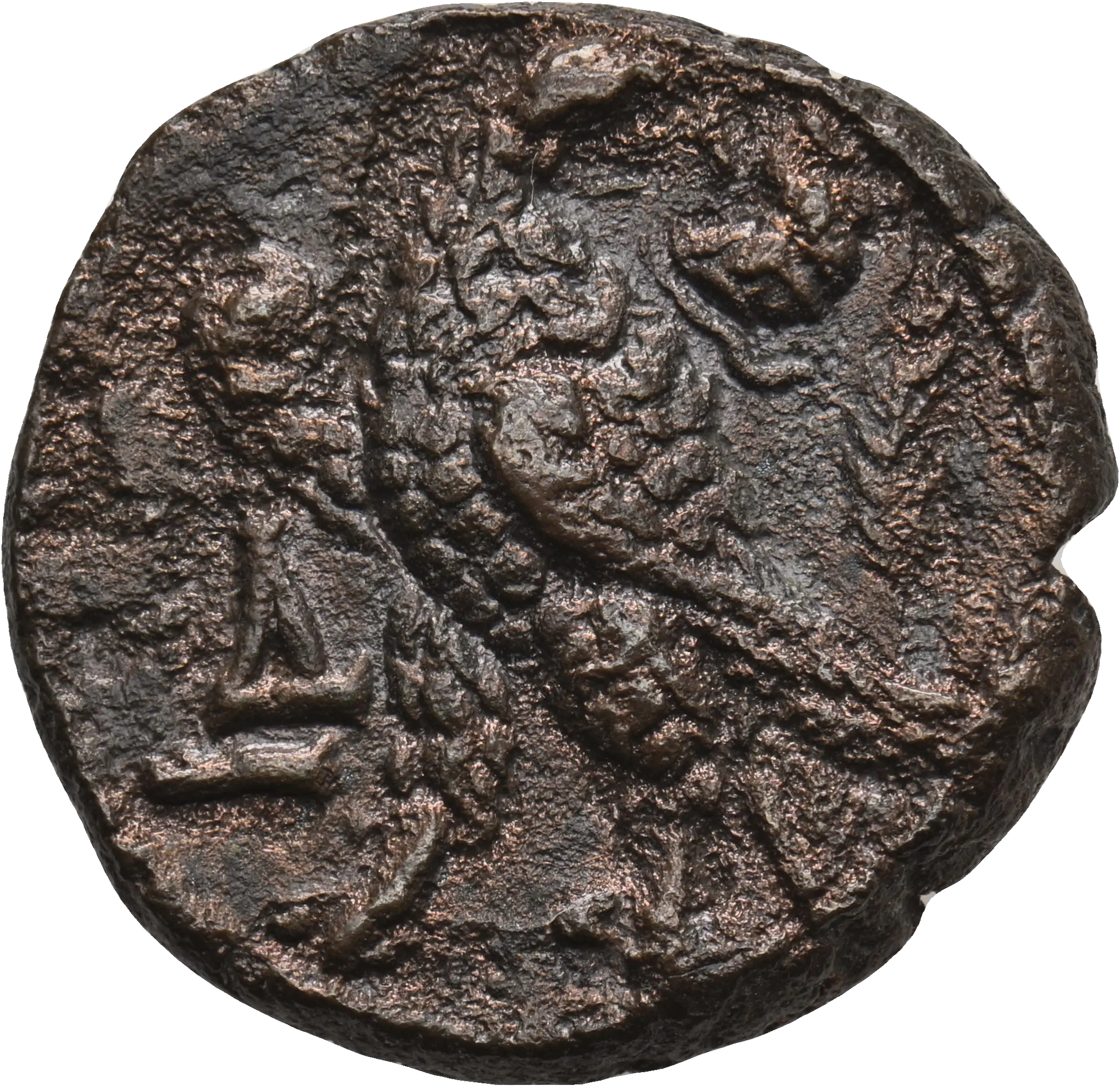 Image of the obverse