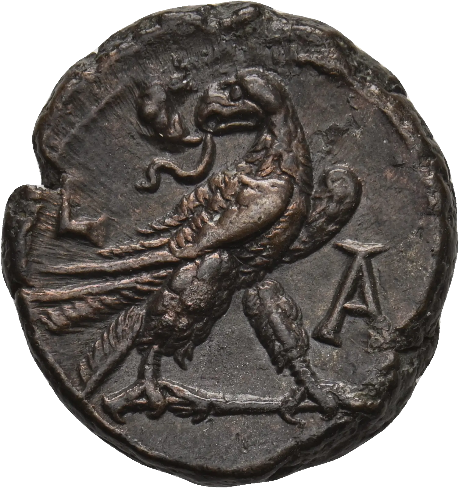 Image of the obverse
