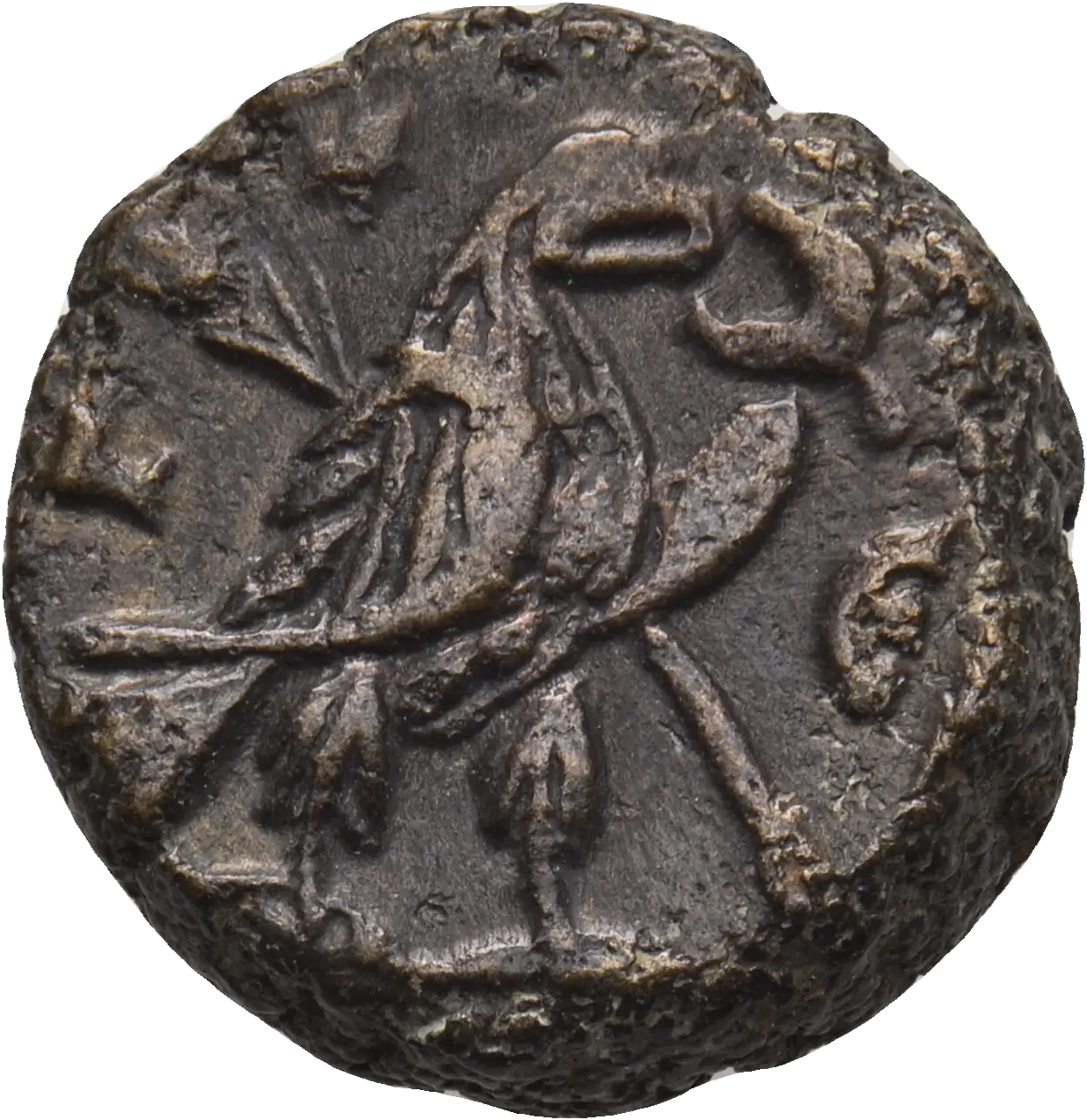 Image of the obverse