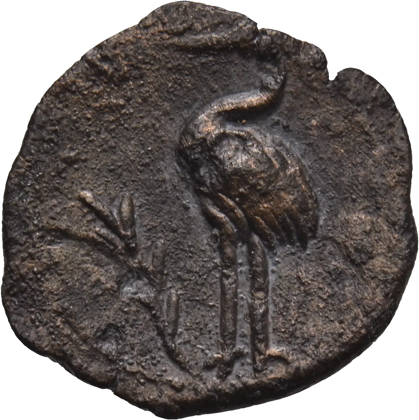 Image of the obverse
