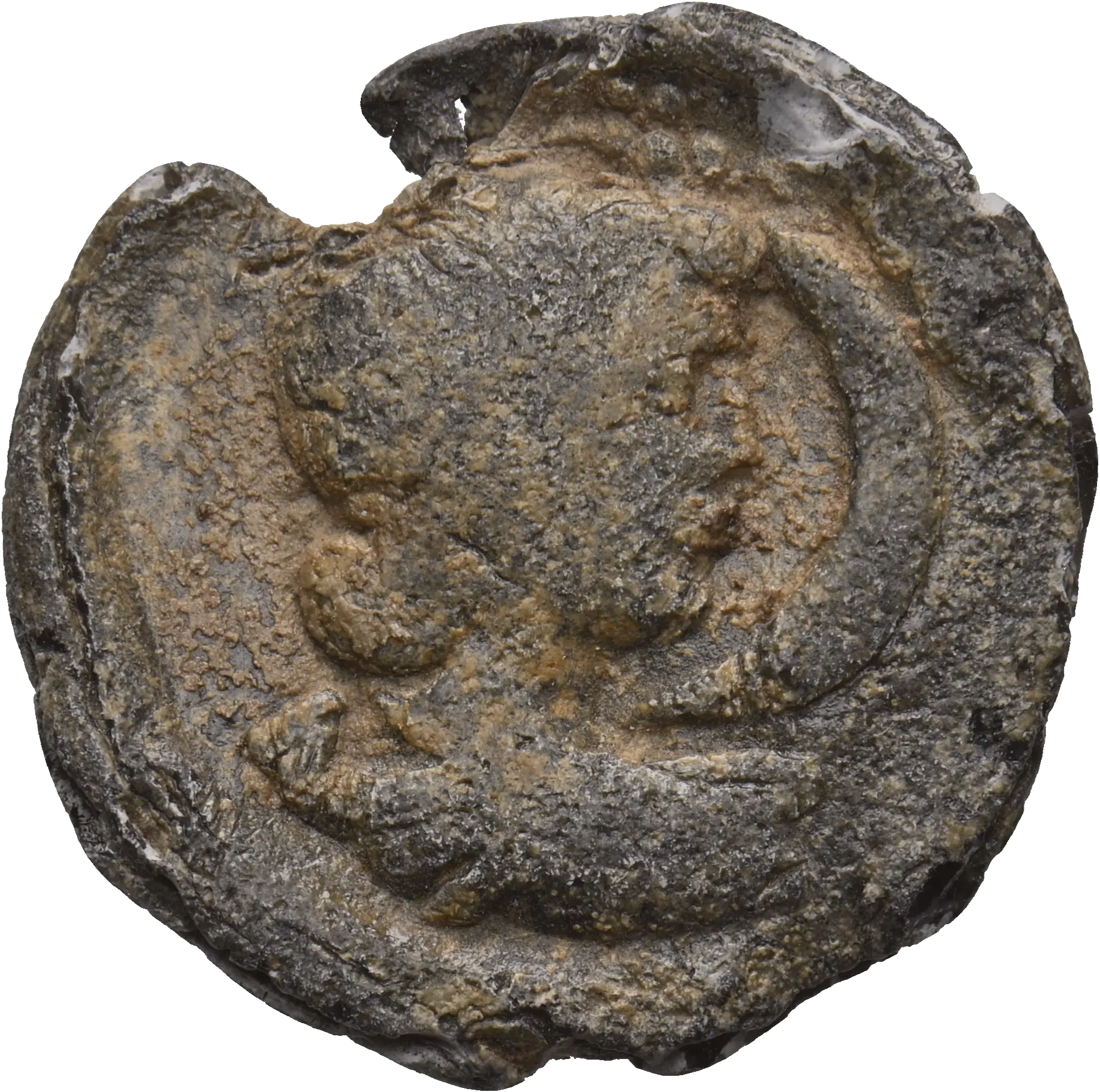 Image of the obverse