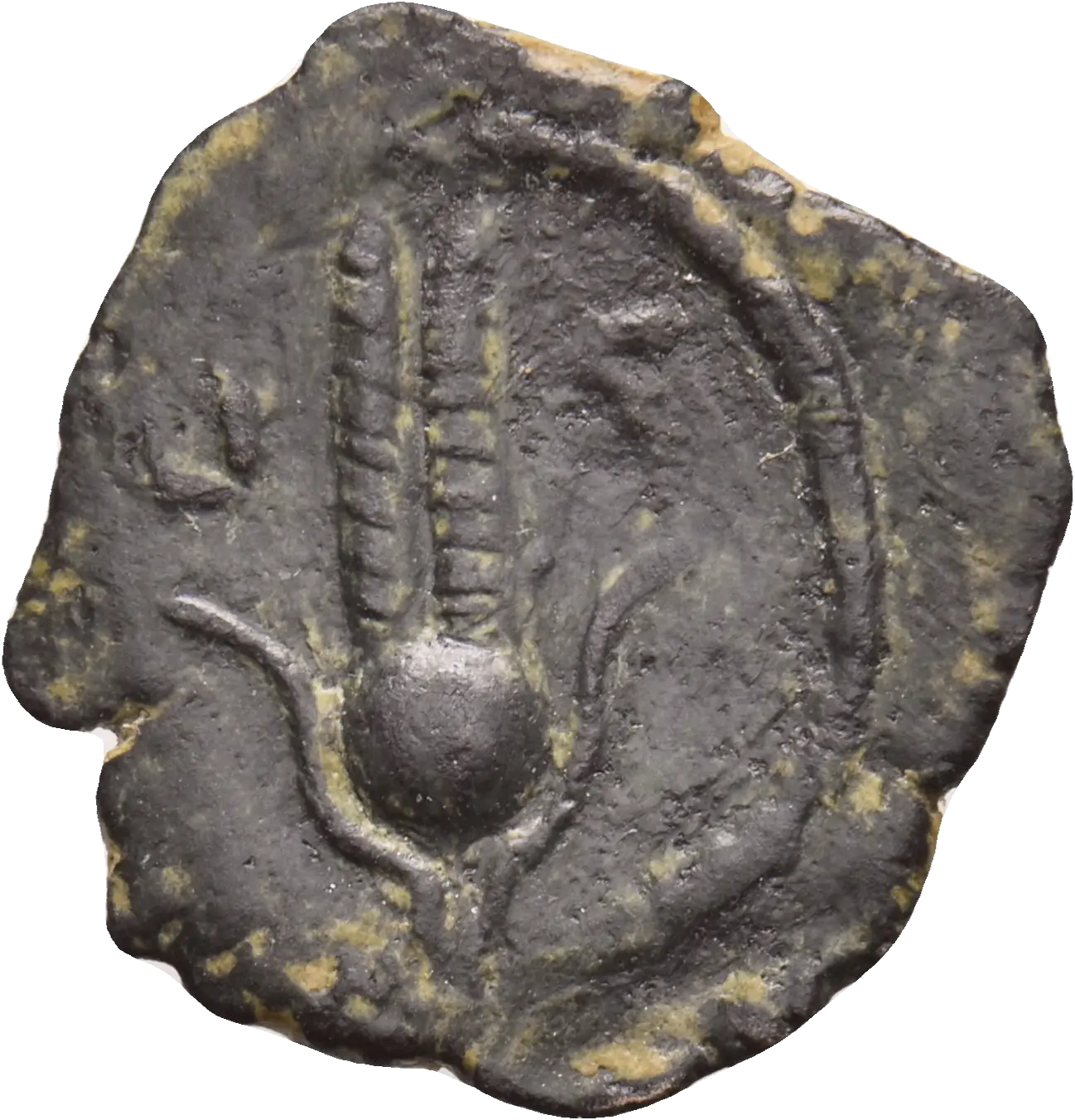 Image of the obverse