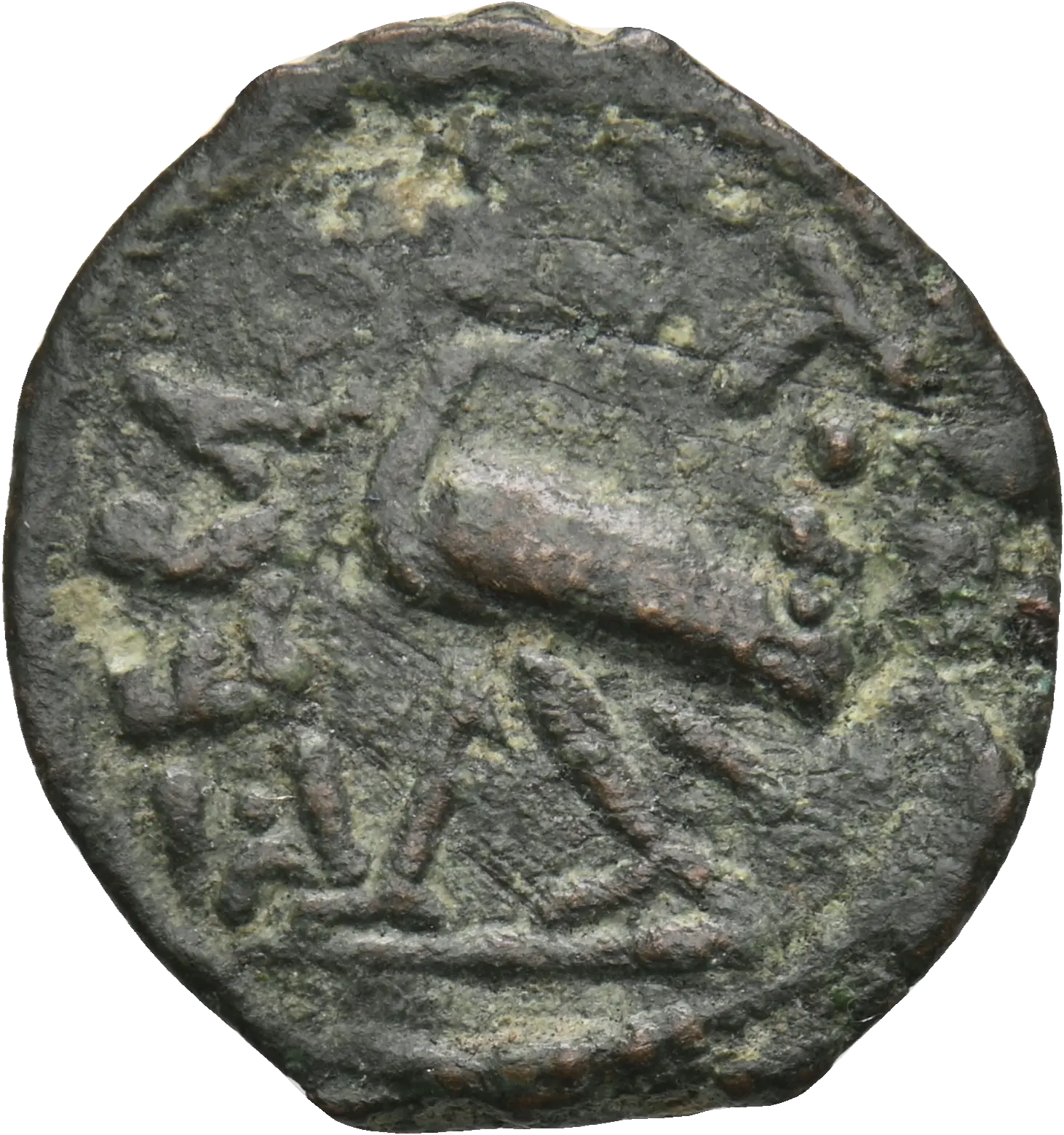 Image of the obverse