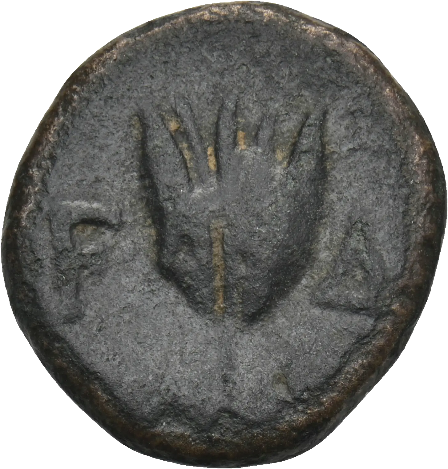 Image of the obverse