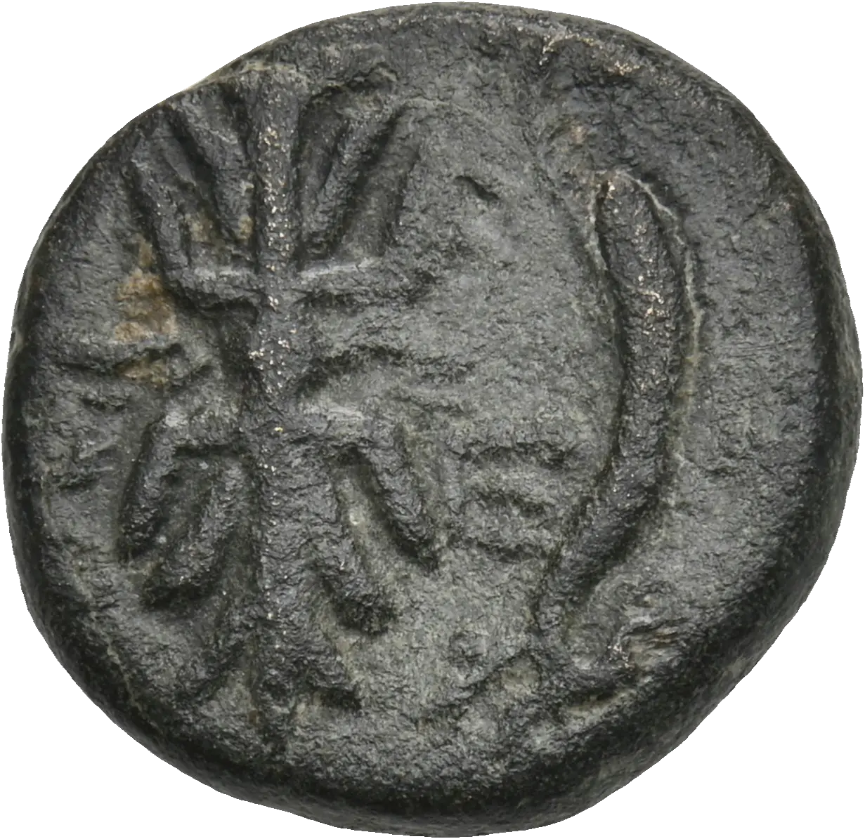 Image of the obverse