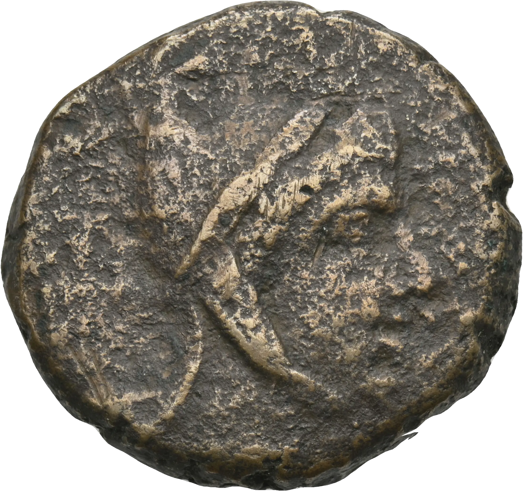 Image of the obverse