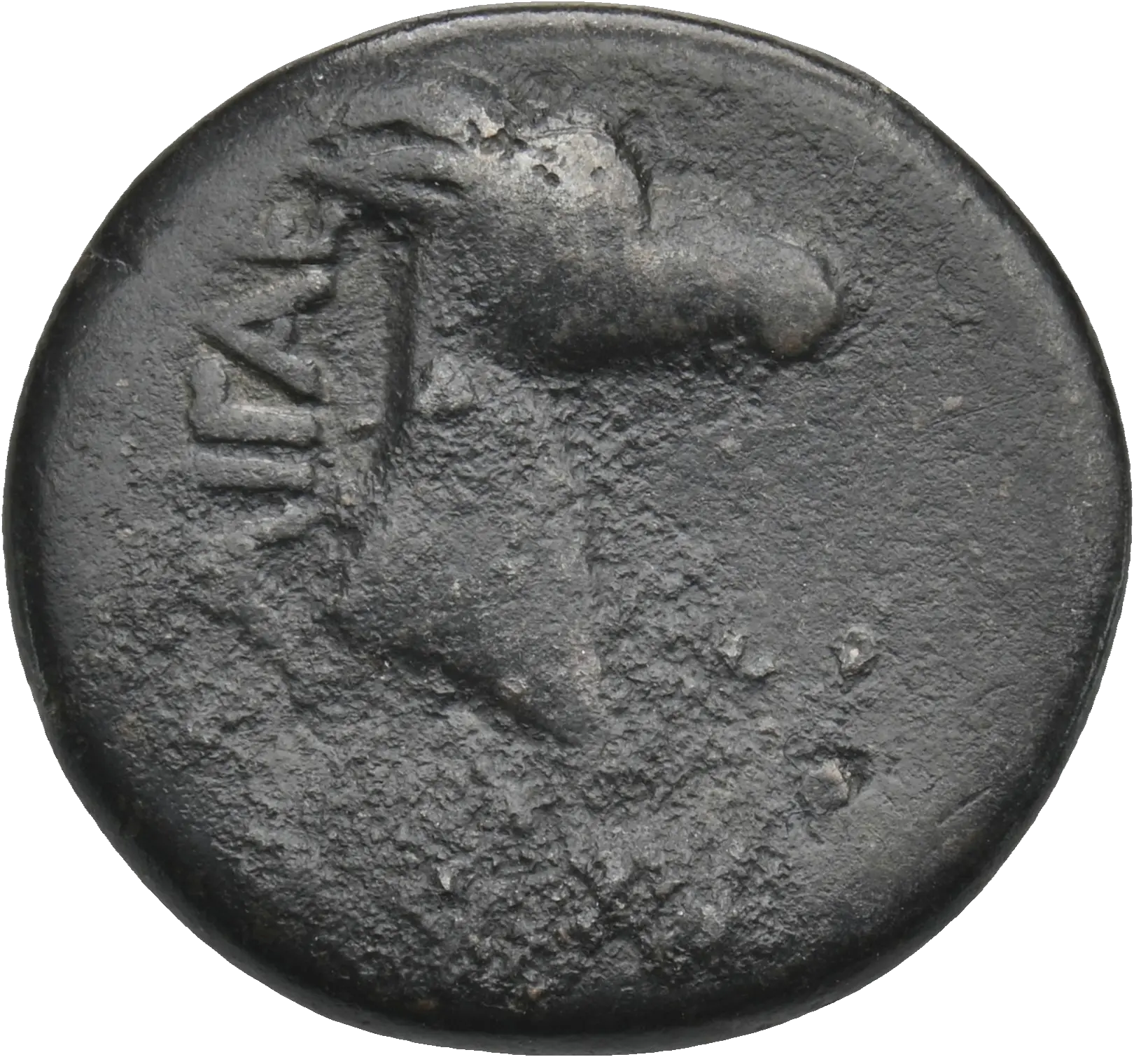 Image of the obverse