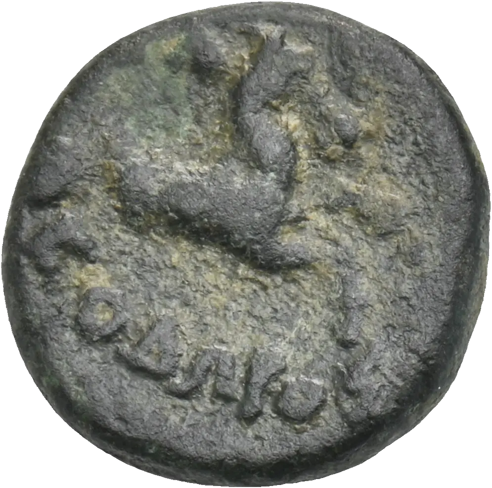 Image of the obverse