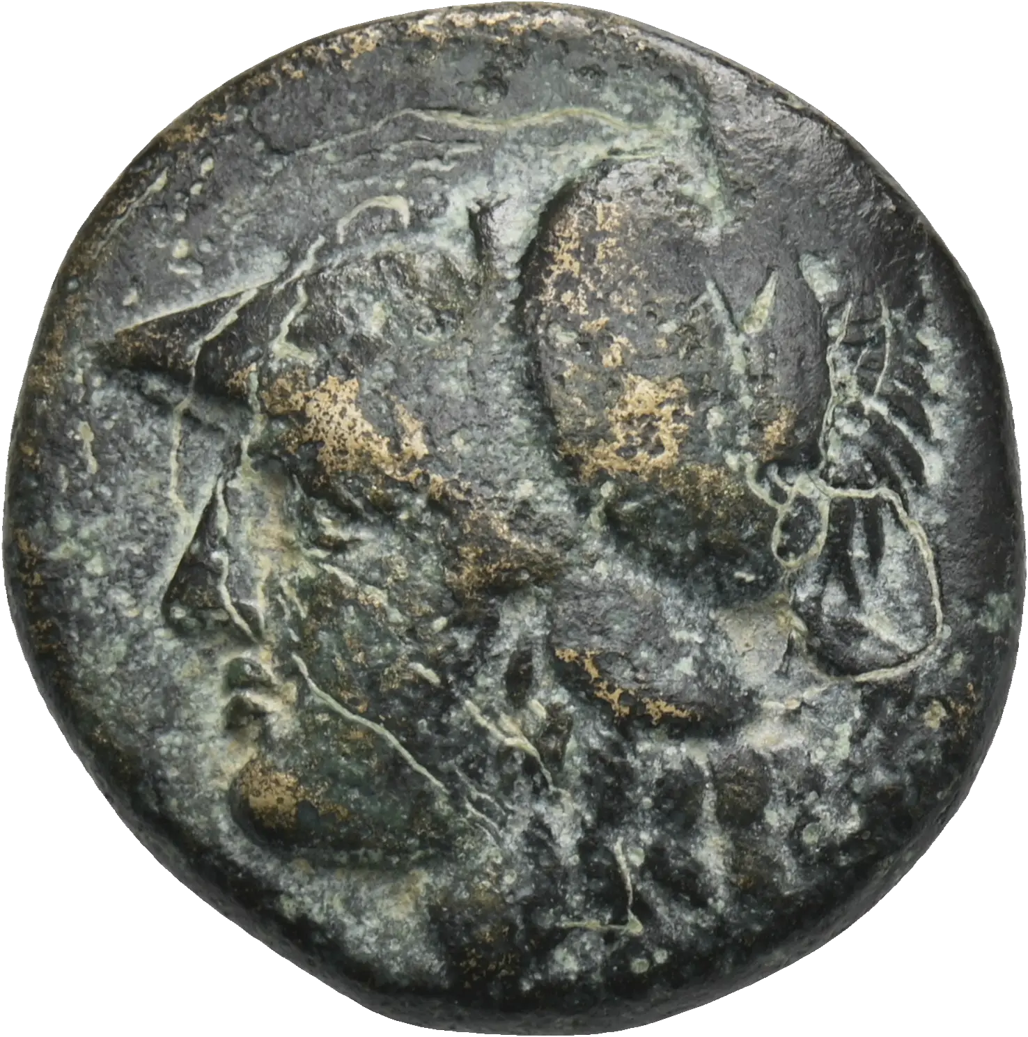 Image of the obverse