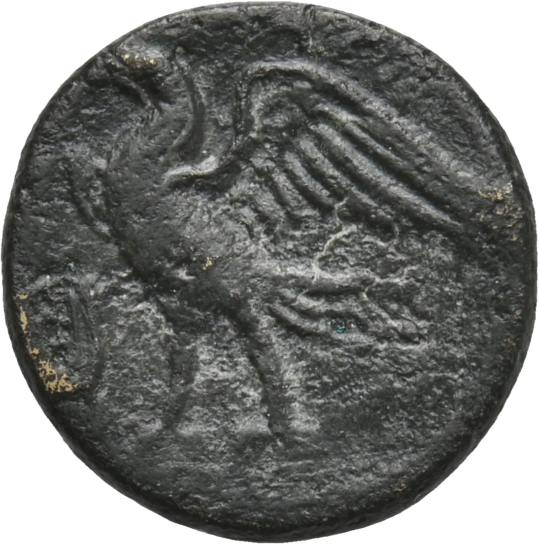 Image of the obverse