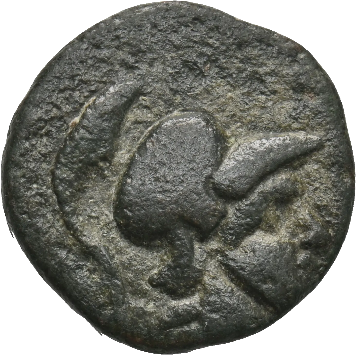 Image of the obverse