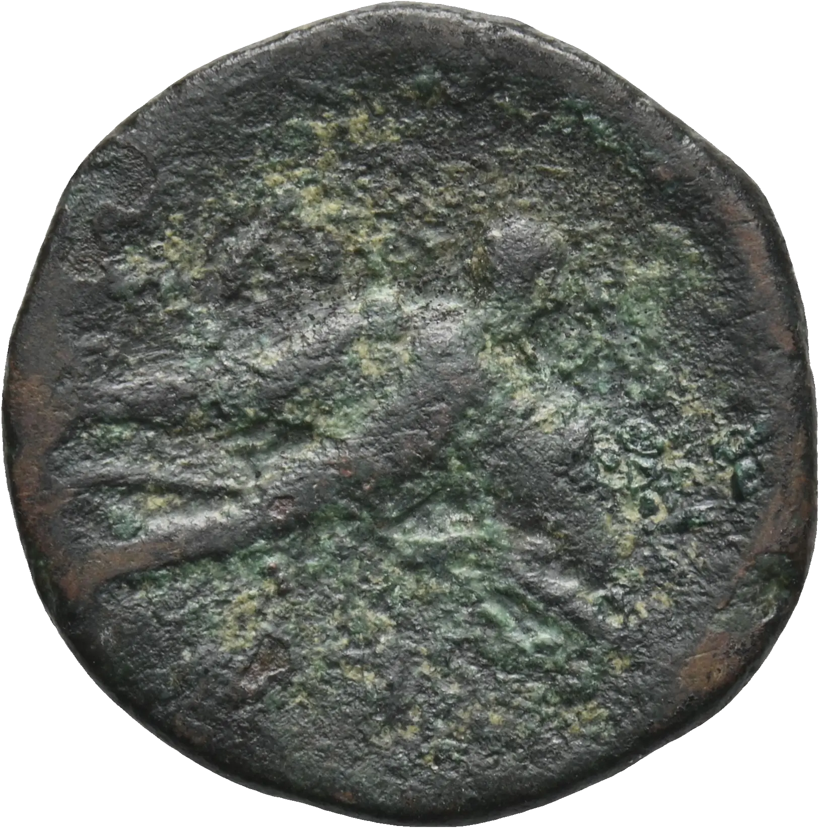 Image of the obverse