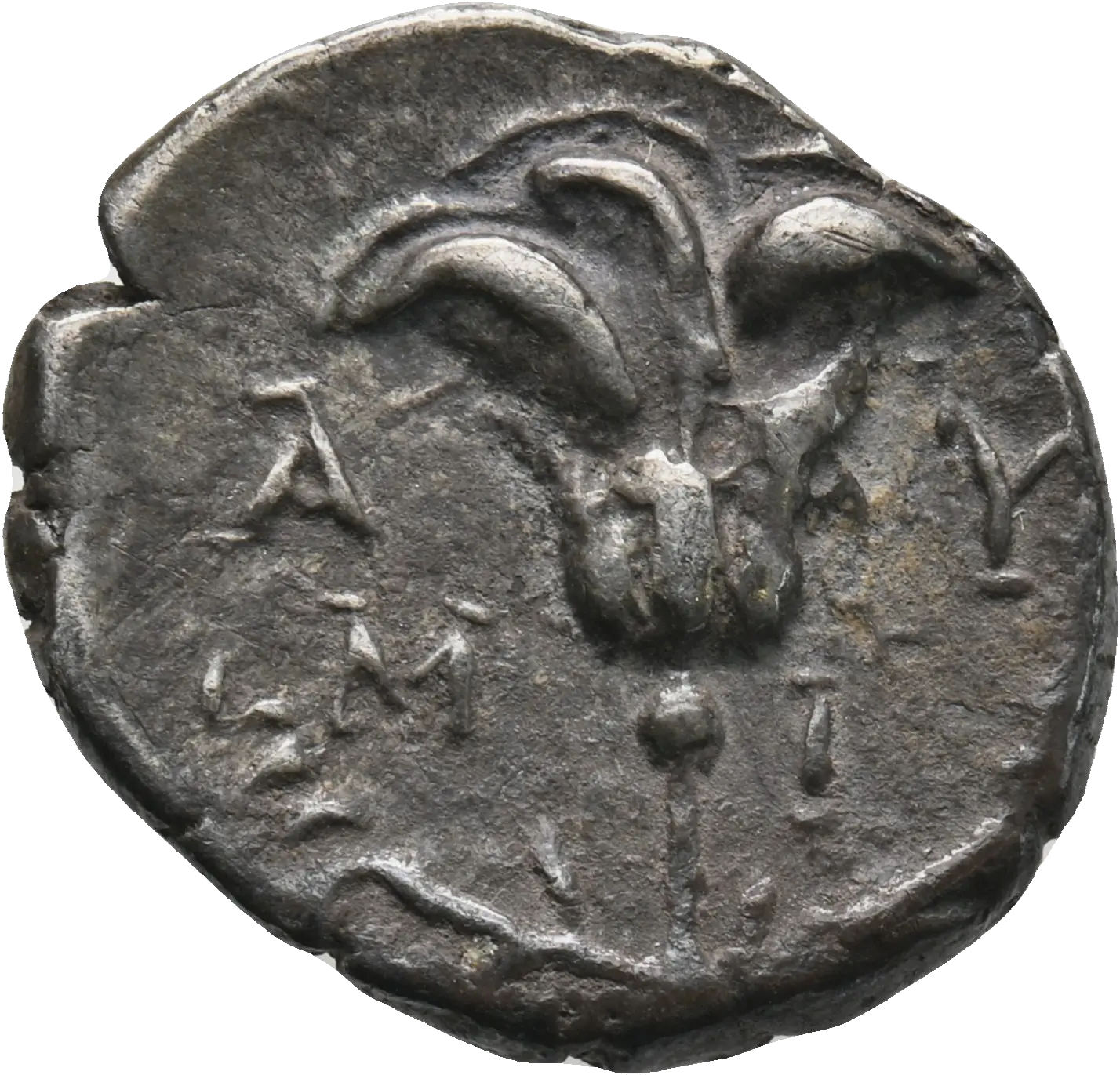 Image of the obverse