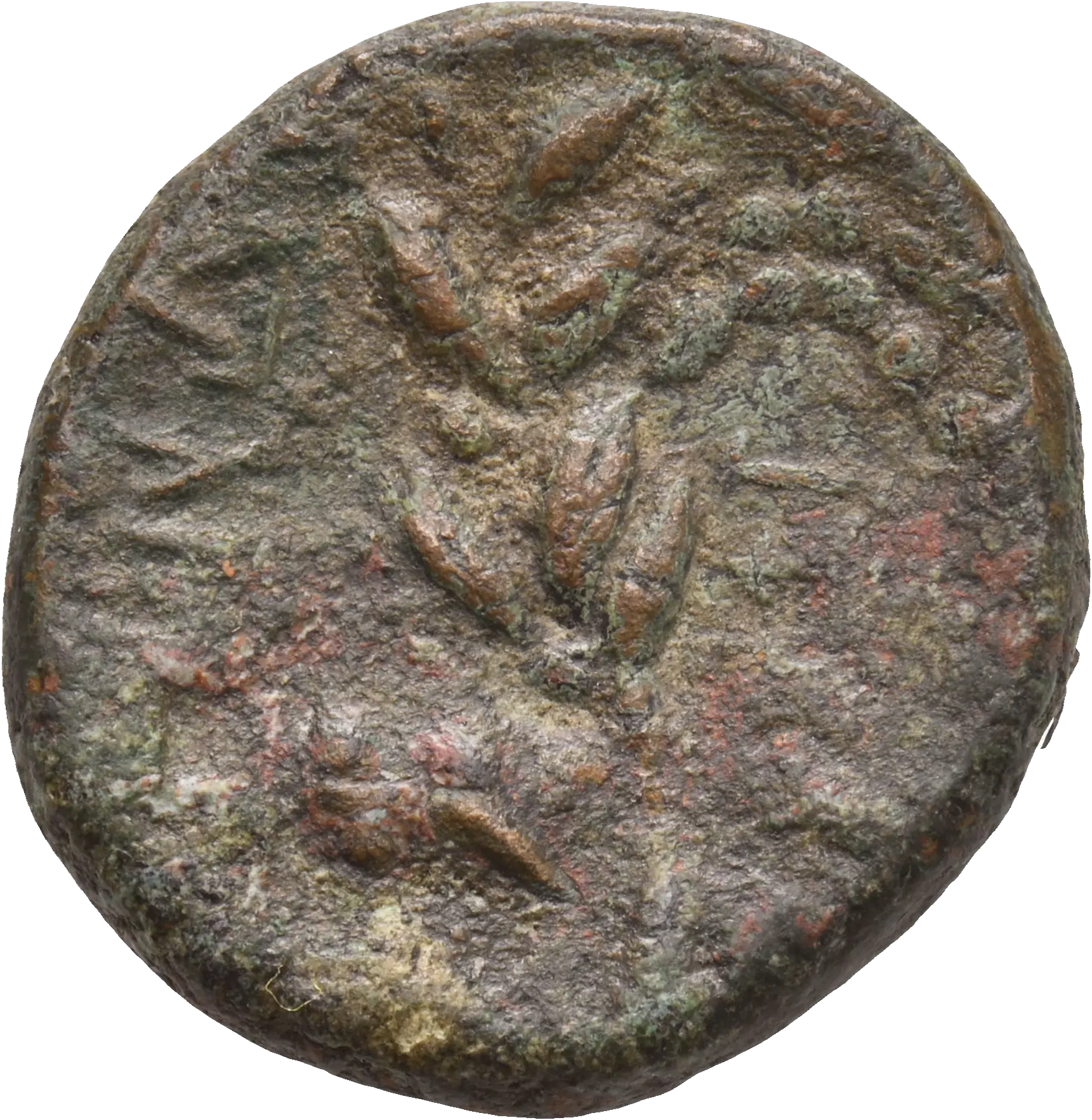 Image of the obverse