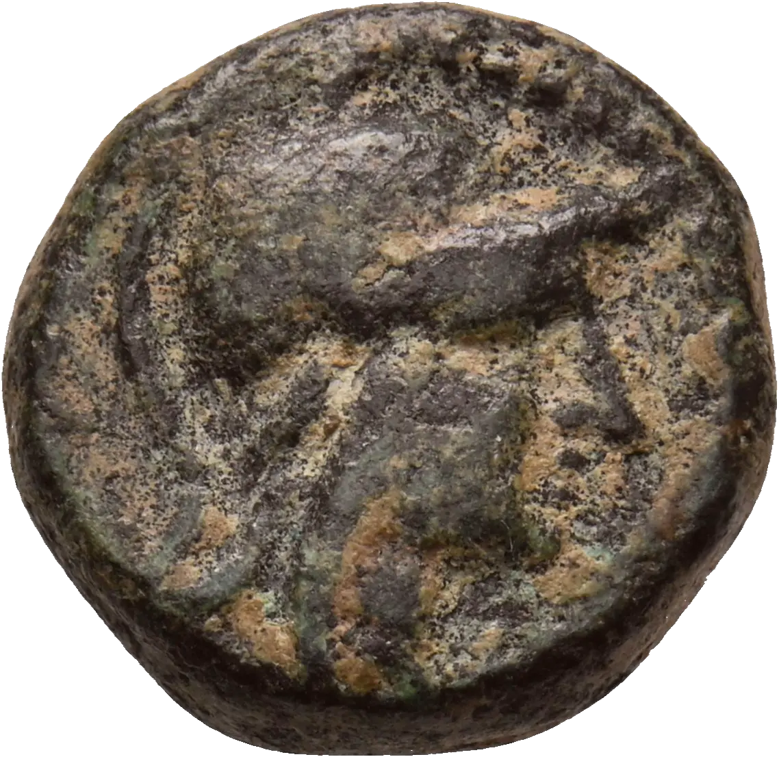 Image of the obverse