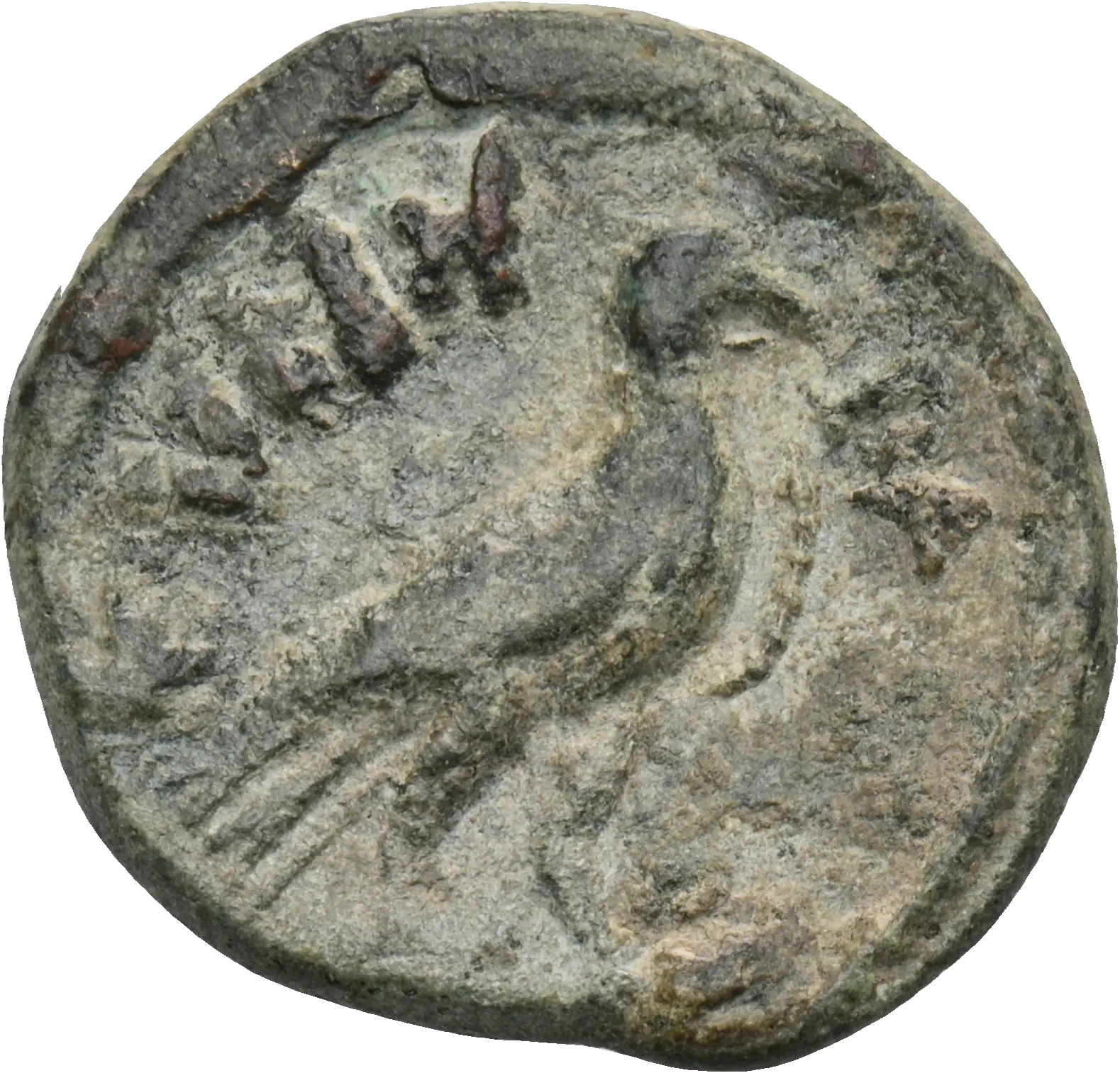 Image of the obverse