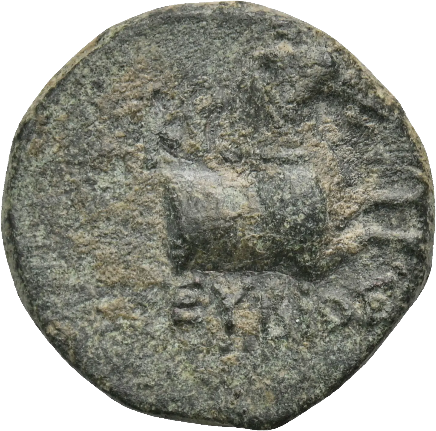 Image of the obverse