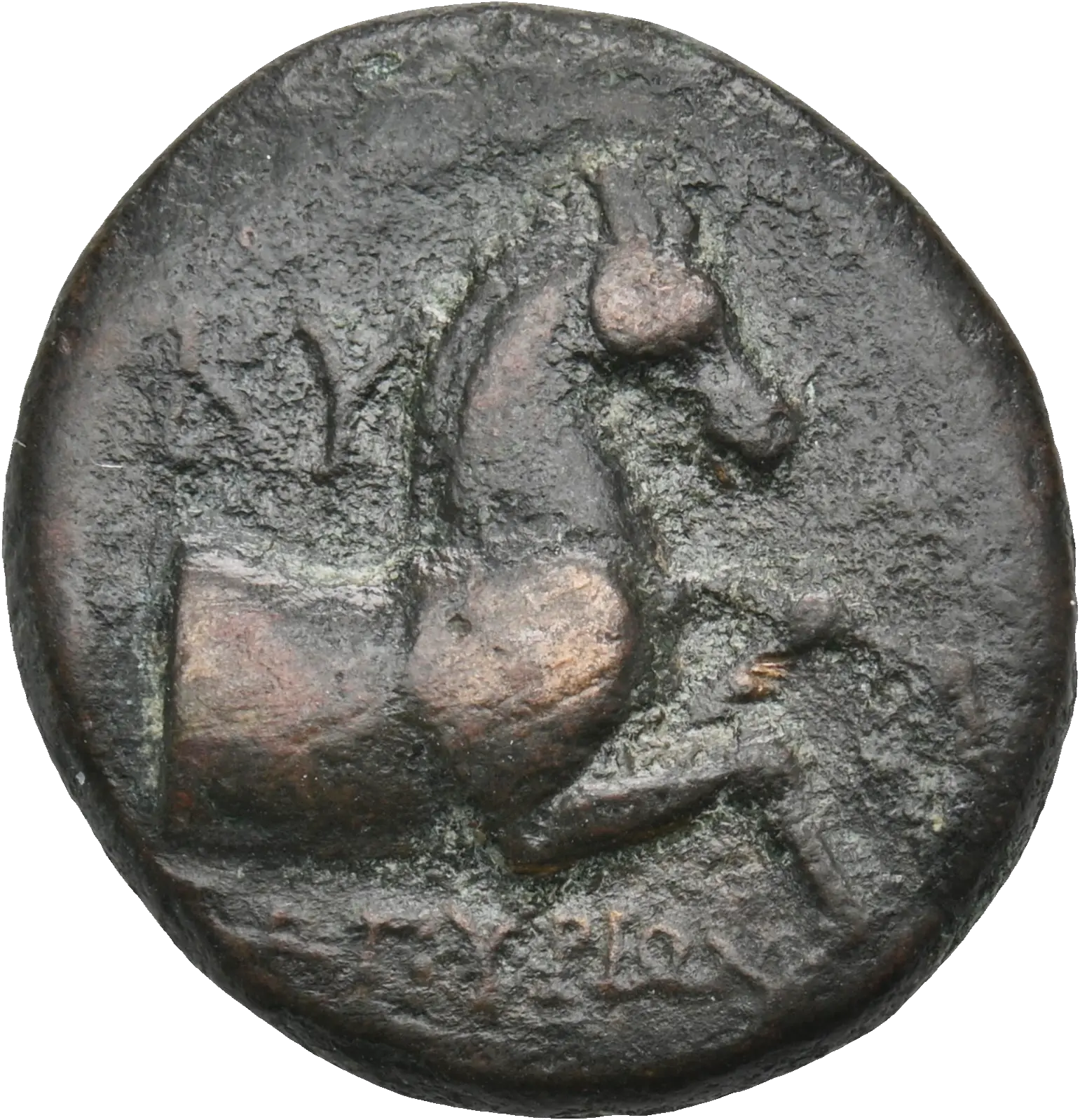 Image of the obverse