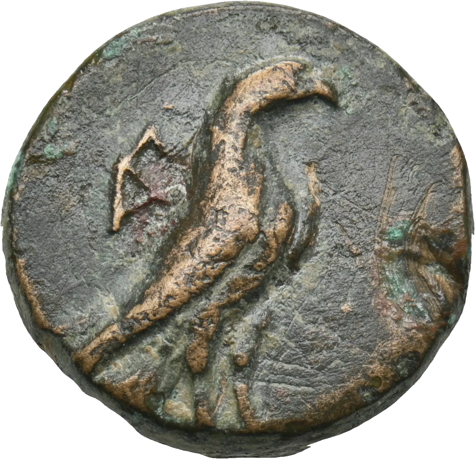 Image of the obverse