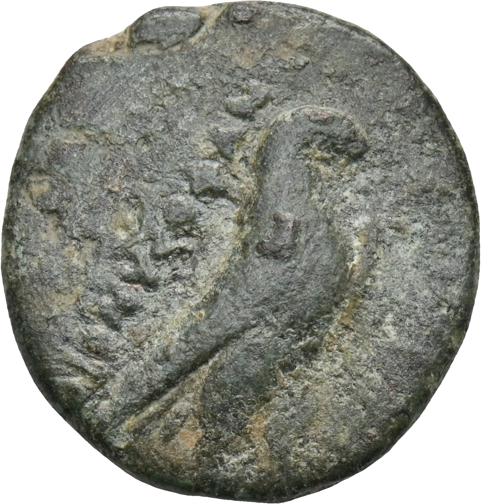 Image of the obverse