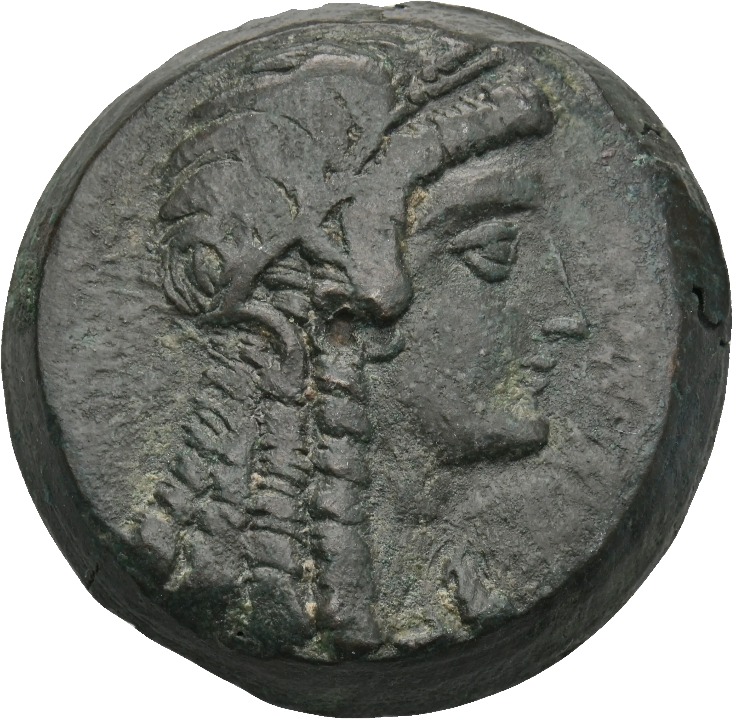 Image of the obverse