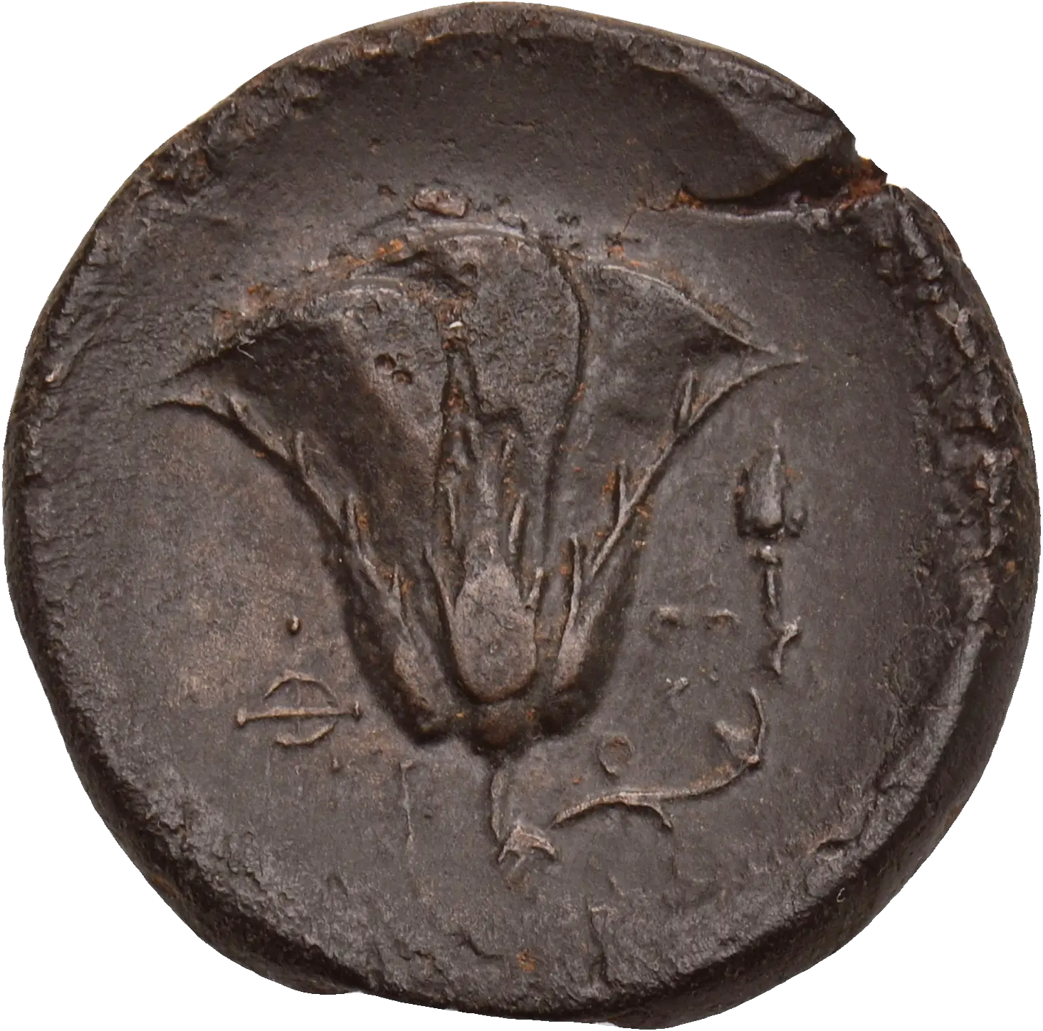 Image of the obverse