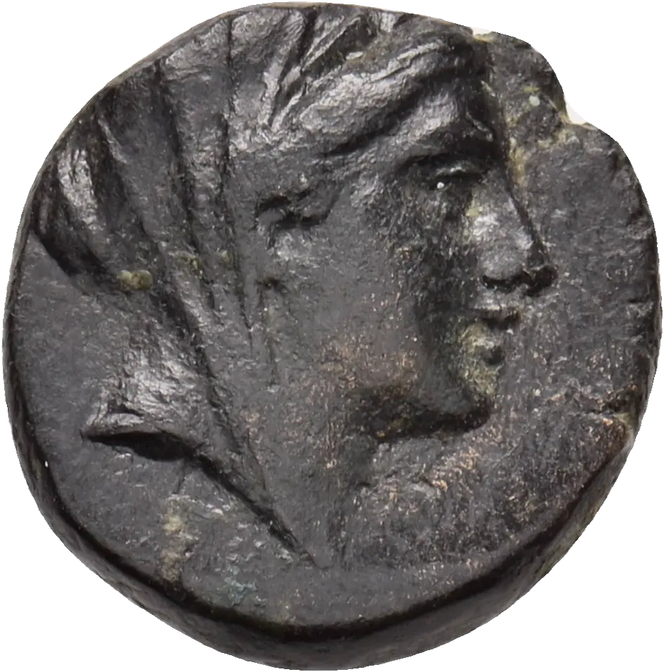 Image of the obverse