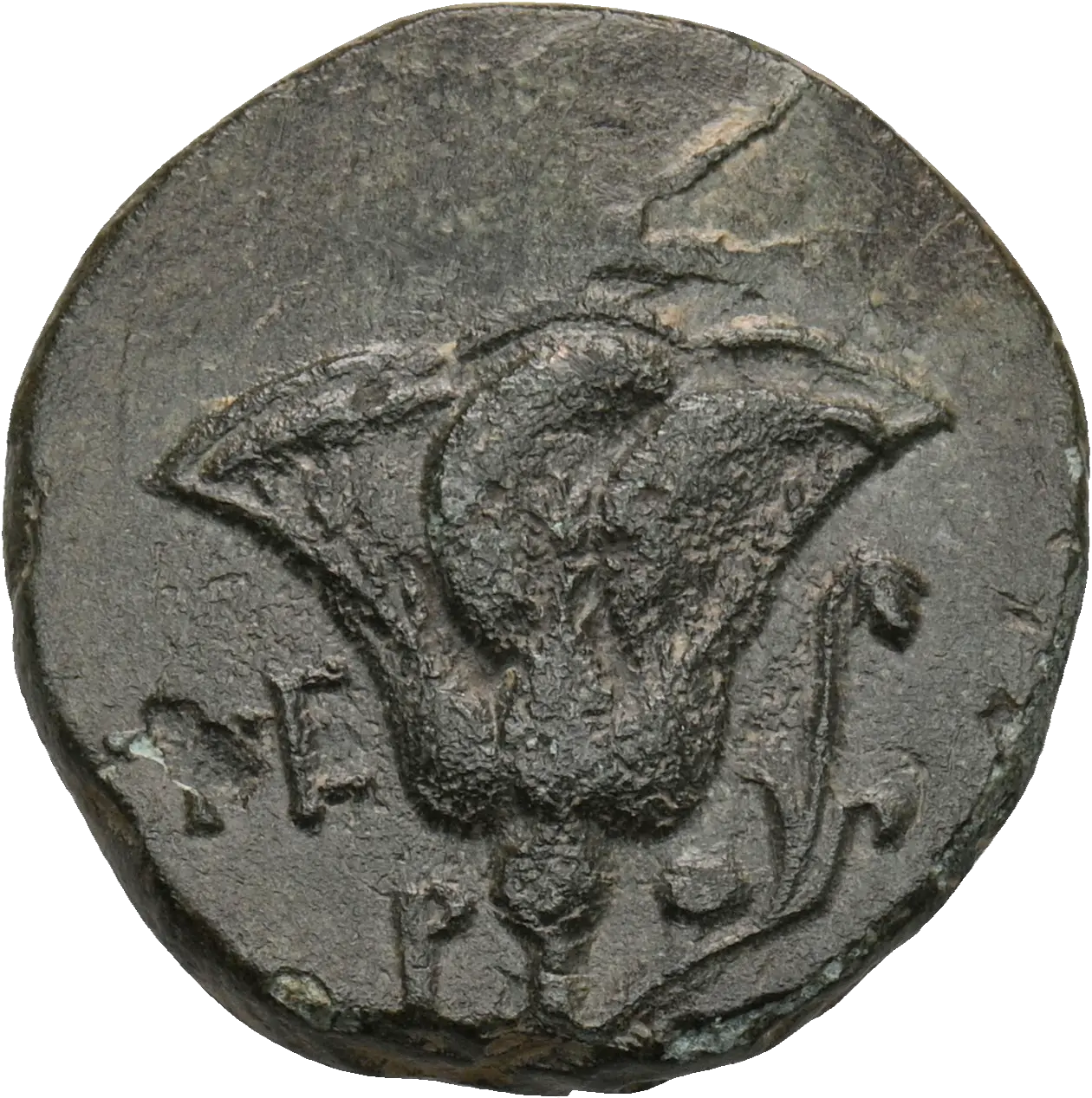 Image of the obverse