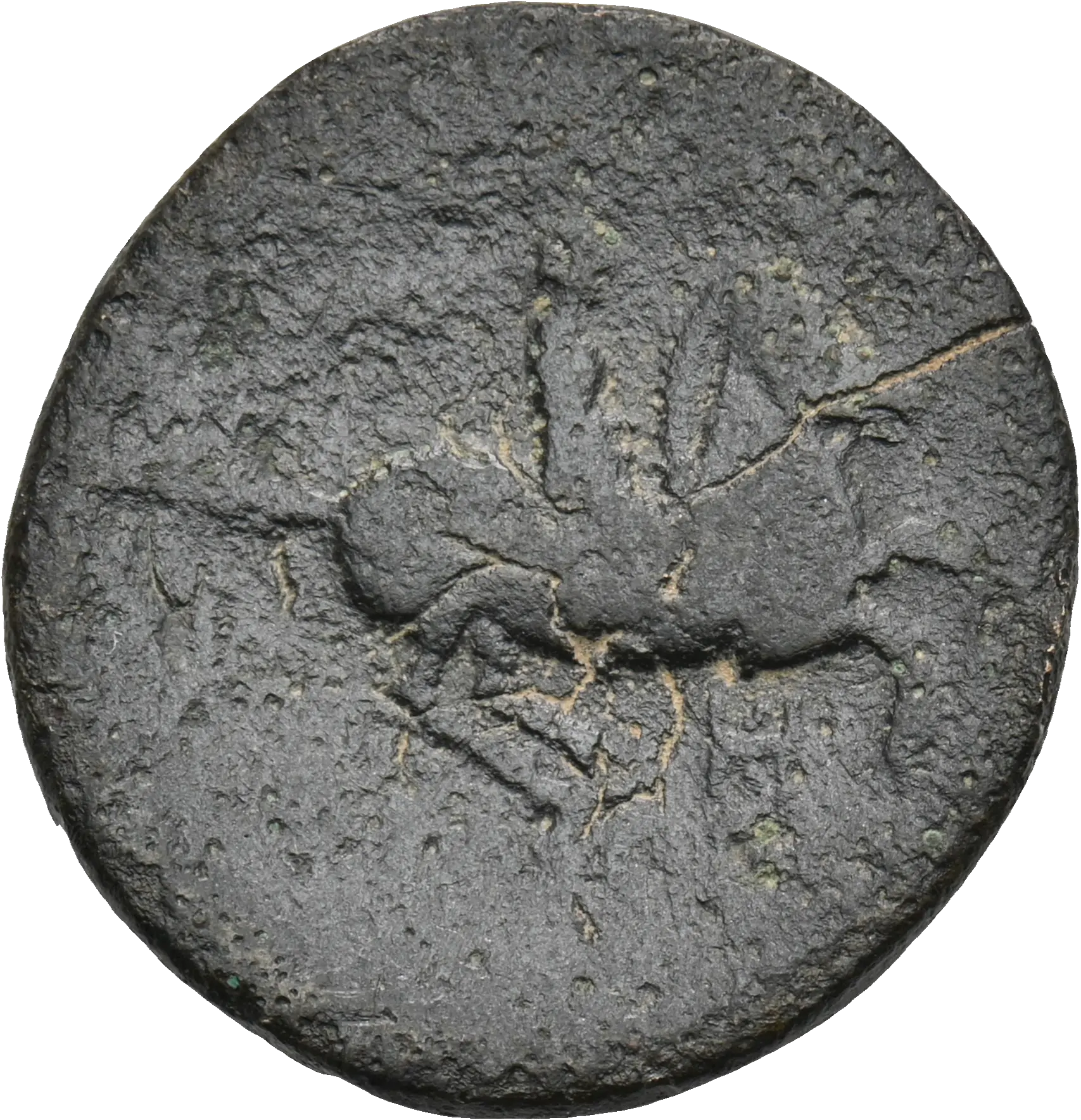 Image of the obverse