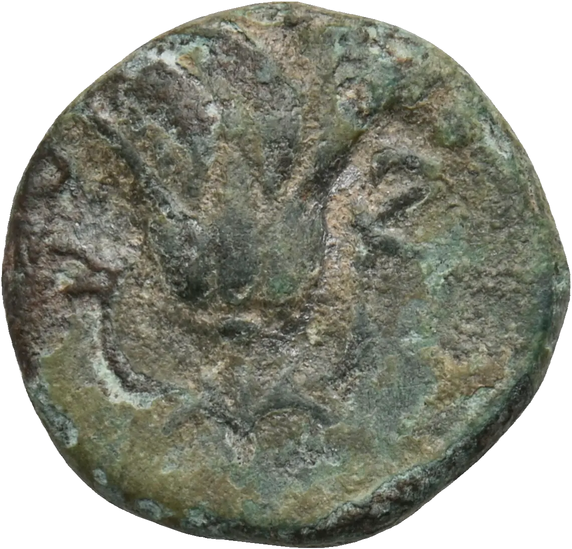 Image of the obverse