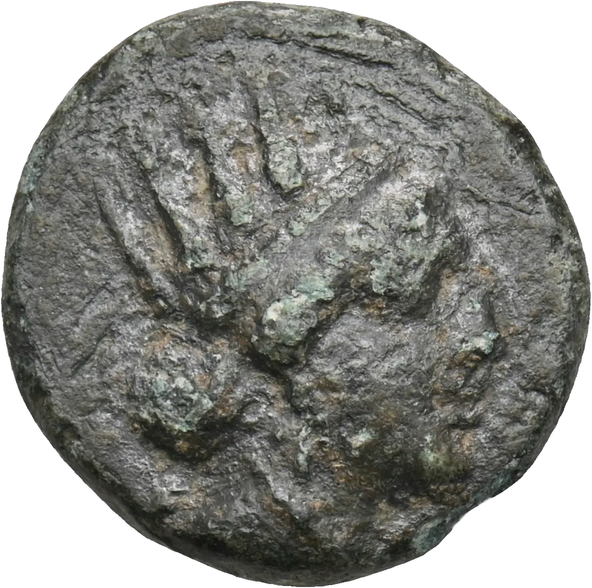 Image of the obverse