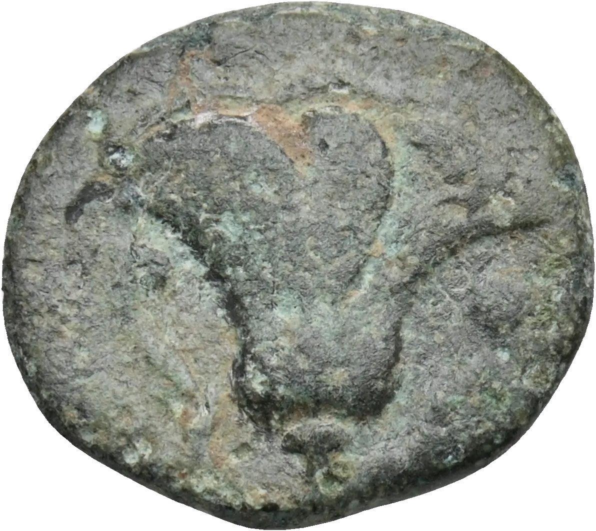 Image of the obverse